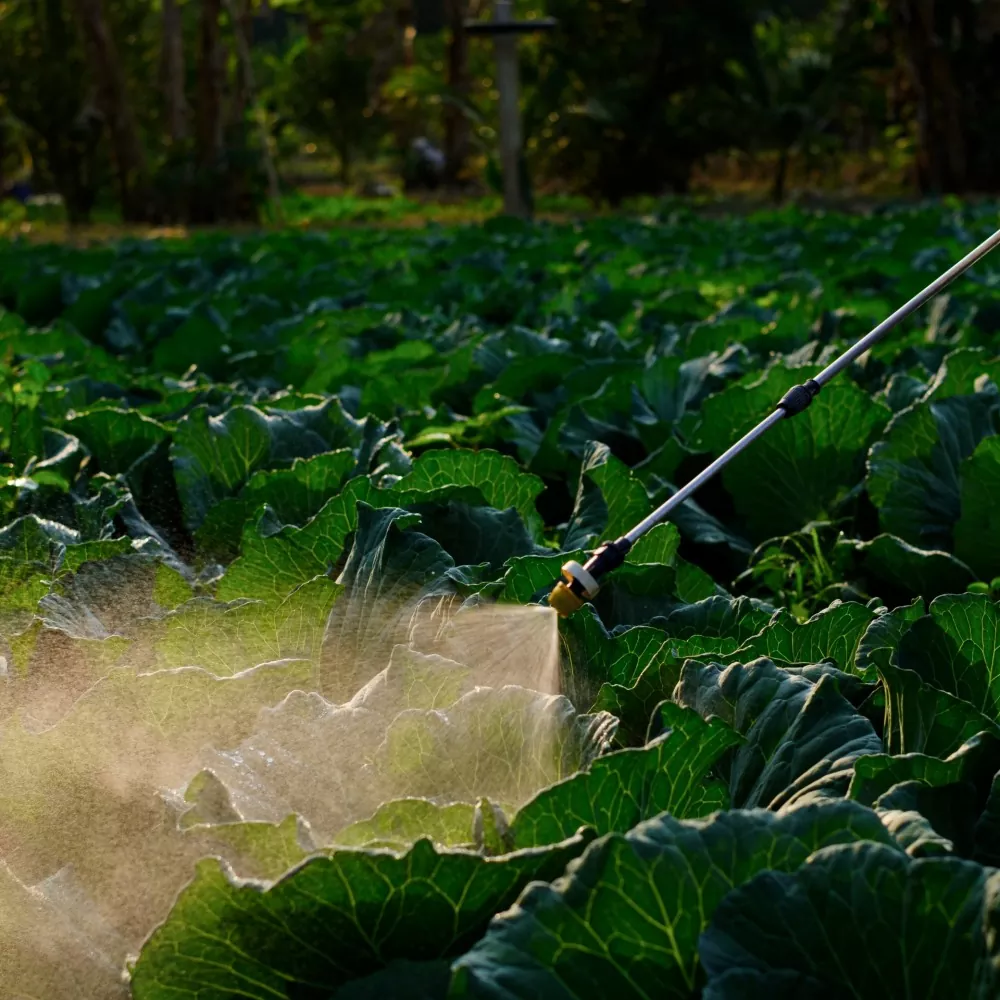 Agriculture-Jardin
