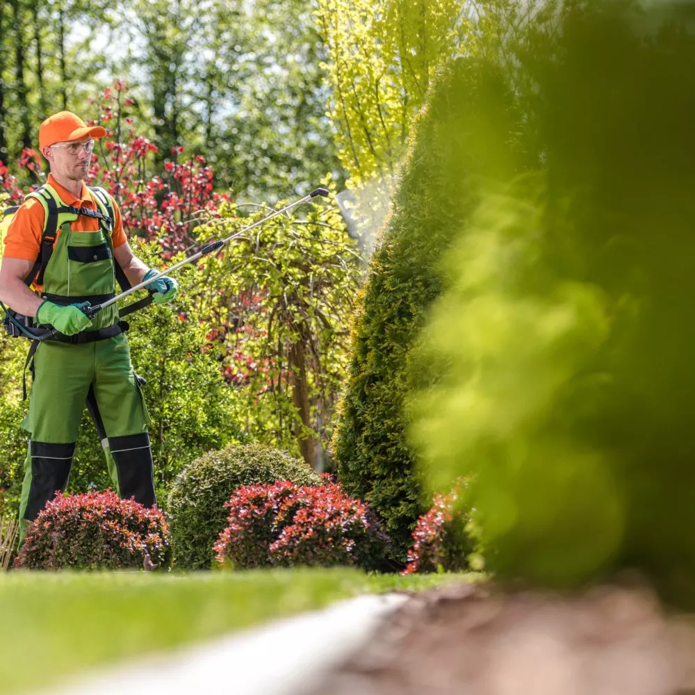 Jardinage professionnel